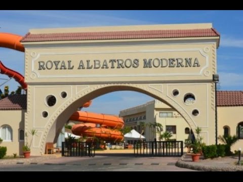 Royal Albatrous Moderna