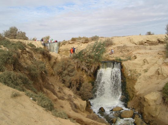 Fayoum Oasis and Wadi Al Rian Tour