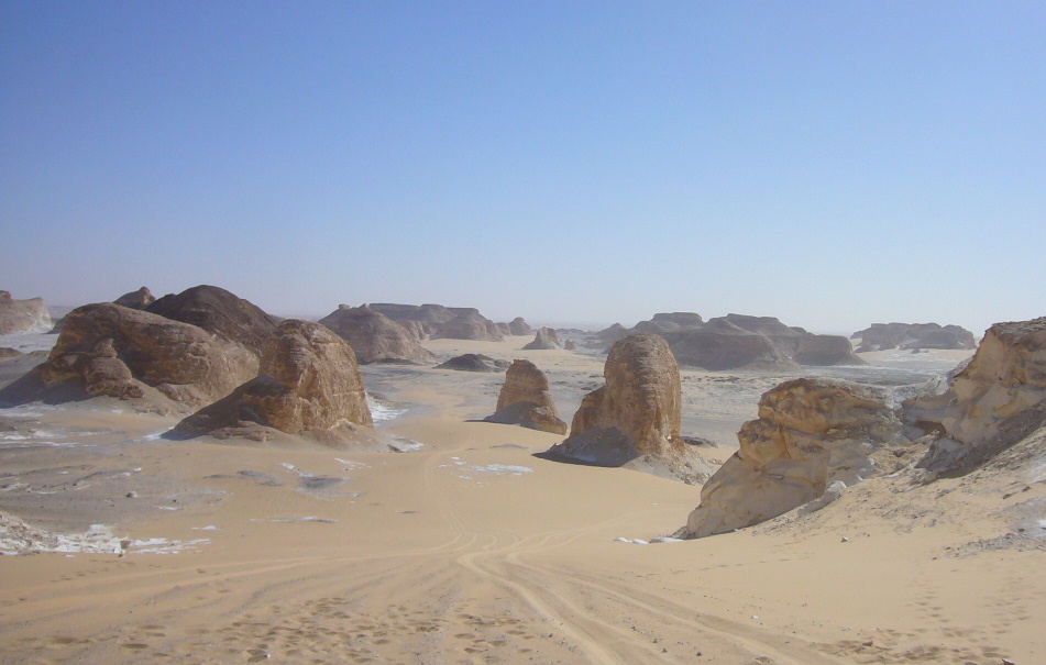 Bahariya Oasis Tour