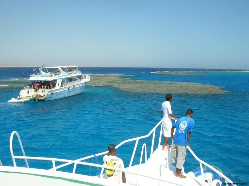 Dolphin House Tour