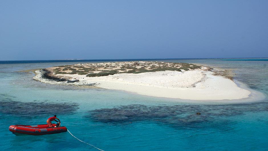 Hamata Island Snorkeling Tour