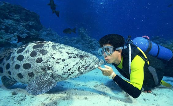 Ras Mohamed Tour 